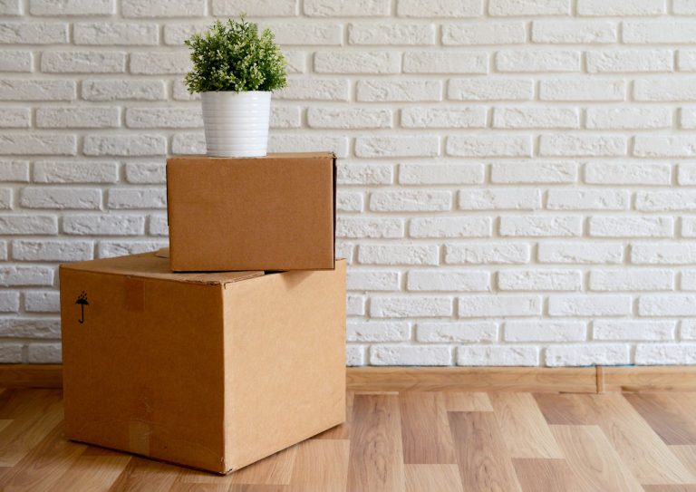 El valor de las mudanzas sostenibles en un mundo que exige conciencia ambiental